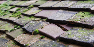 Church Bay roof repair costs